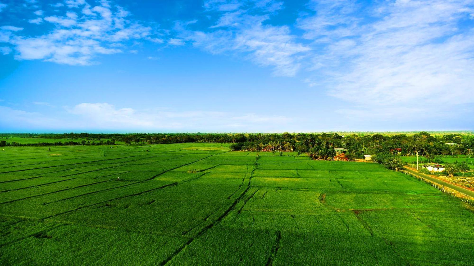 Avonil Resort Yala Tissamaharama Extérieur photo